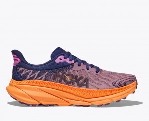 Light Purple / Navy HOKA Challenger 7 Women's Trail Running Shoes | 30SQLMJZN