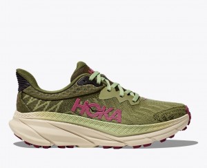 Olive Green HOKA Challenger 7 Women's Trail Running Shoes | 80KBWYZUJ