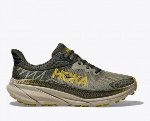 Olive HOKA Challenger 7 Men's Trail Running Shoes | 28MNYFBQV