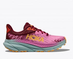 Pink / Dark Red HOKA Challenger 7 Women's Trail Running Shoes | 54JXYSVZN